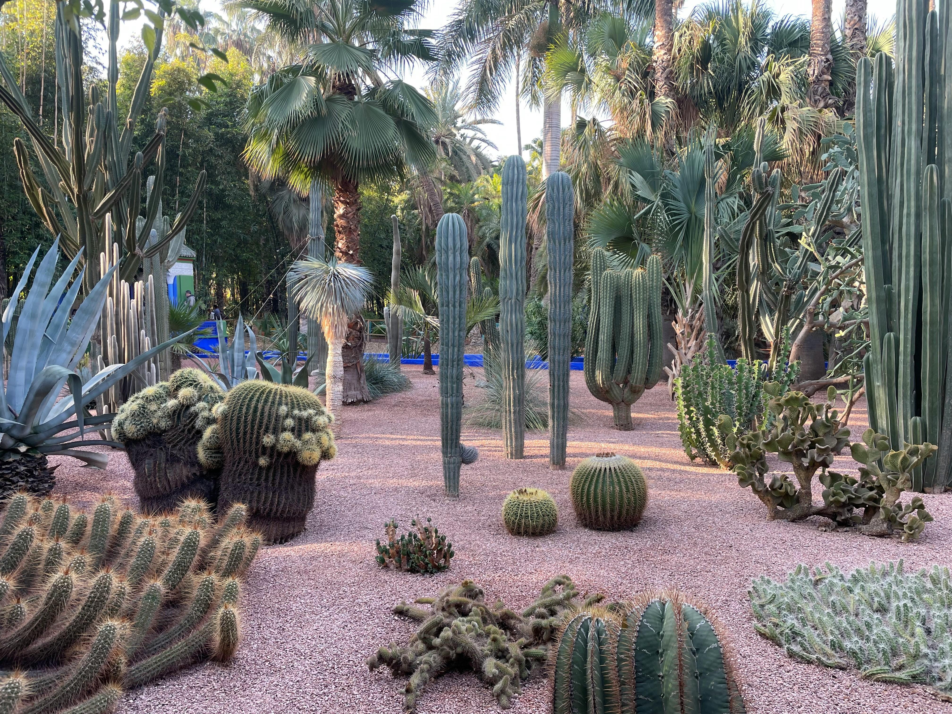 Excursion en calèche et visite du jardin Majorelle